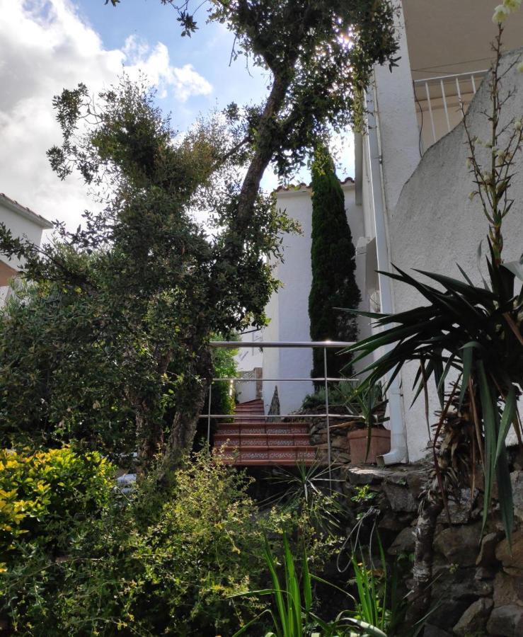 Can Blau Roses Dış mekan fotoğraf