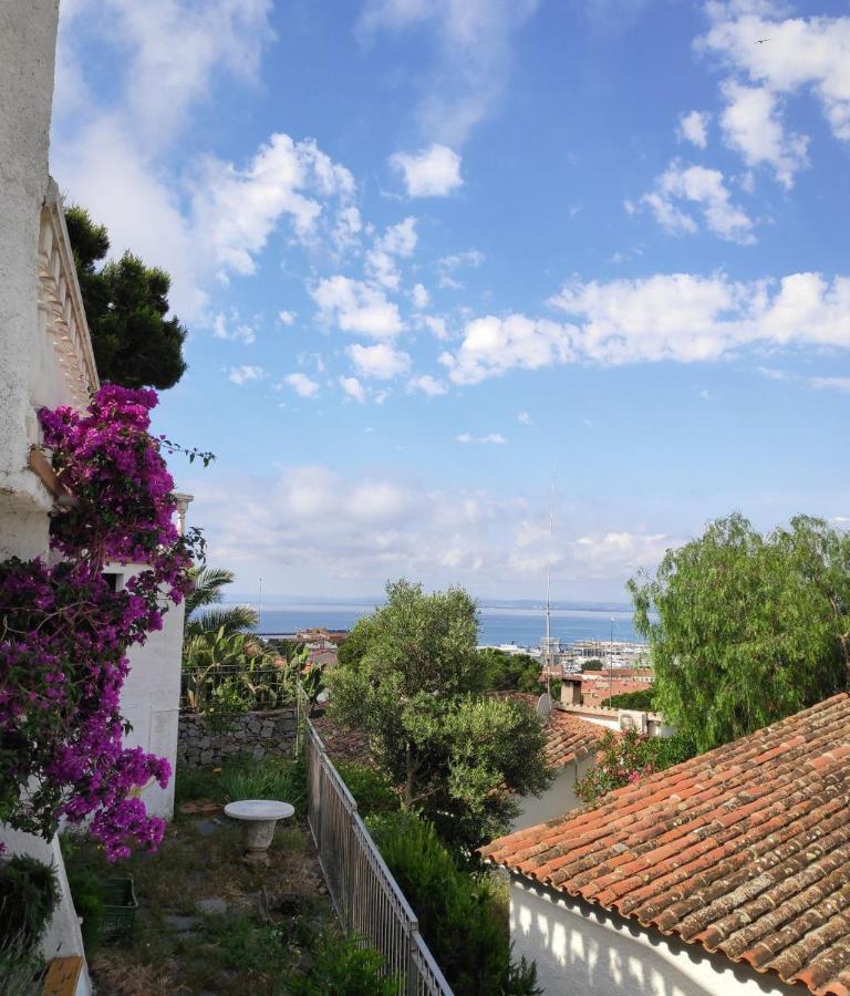 Can Blau Roses Dış mekan fotoğraf
